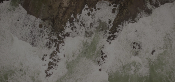 The Wave Saga