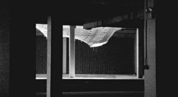 Branches from Concrete