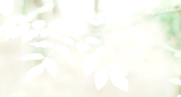 gestures toward Plant Vision