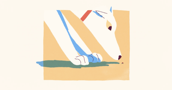 Earthquake