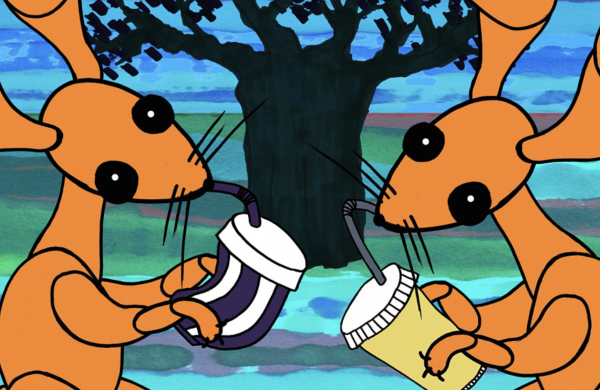 Safari