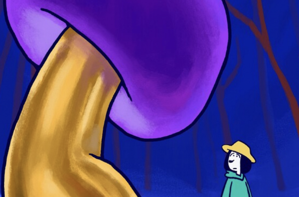 Mushroom picking