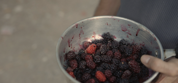 Fruits of Despair