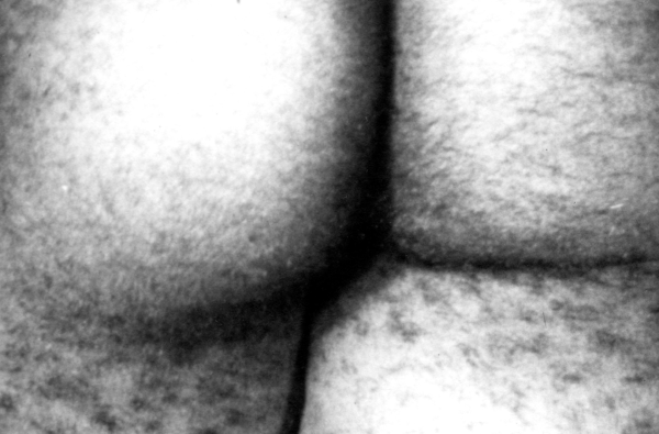 Film No. 4 (Bottoms)
