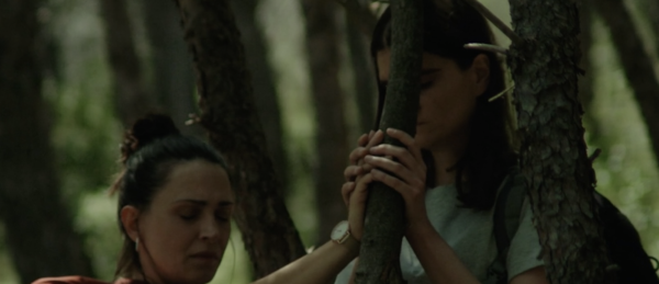 Don't Try This in the Woods