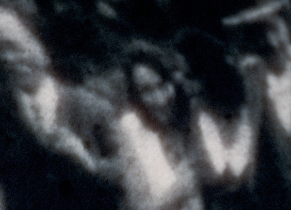 Lumières fossiles