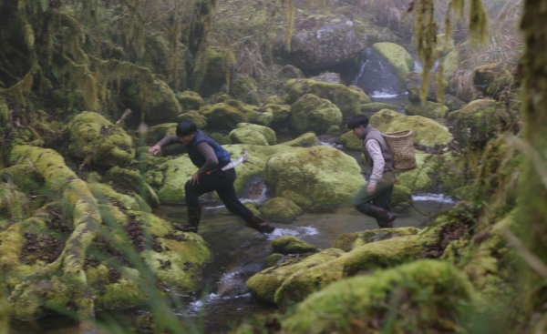 Tayal Forest Club