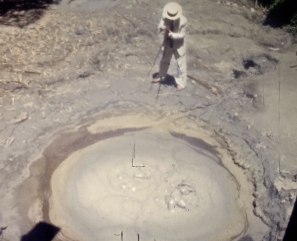 Amateur in the Moon