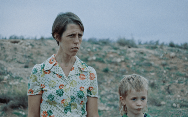 Nobody Barks