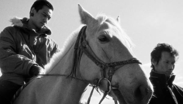 Ride Your Horse