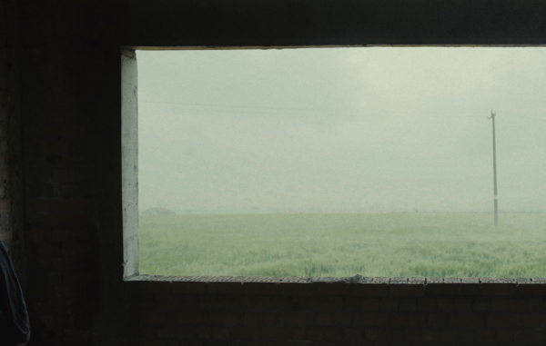 Out of Window