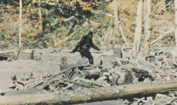 Capturing Bigfoot