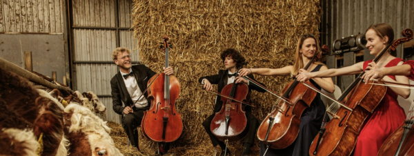 Where Music Grows