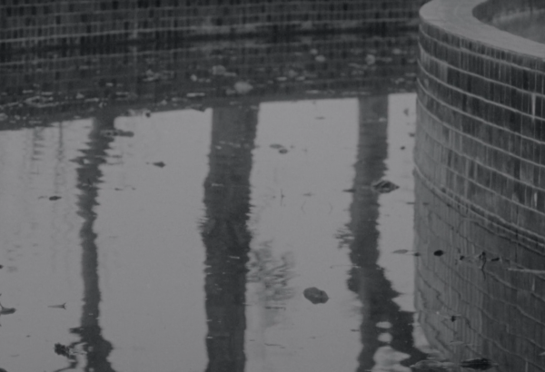 Fallen Noon