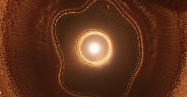 Stellar Iris