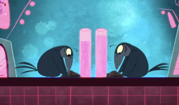 How Smart Are Crows?