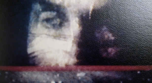 Philoktetes – The Wound