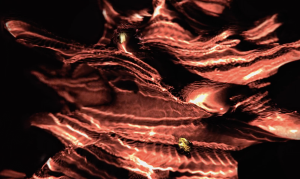 Symbionts