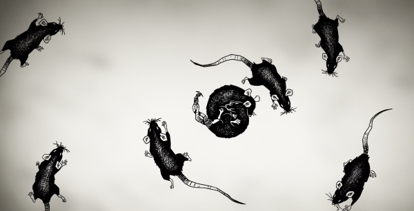 The Decameron Main Title Sequence
