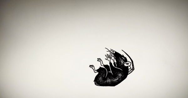 The Decameron Main Title Sequence