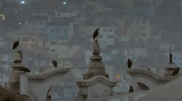 The Colloquium of the Birds