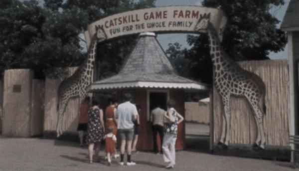 American Zoo