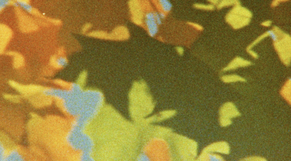 Canopy