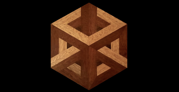 Microcosmos. A Cabinet of Curiosities