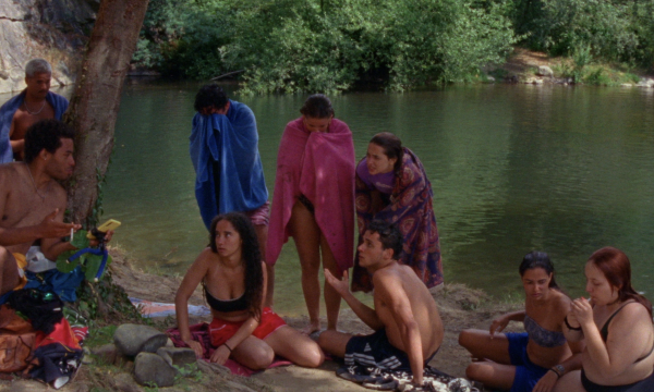 A Few Things Happening by a River
