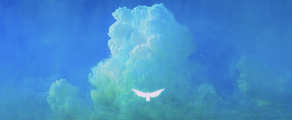 Bird Rhapsody