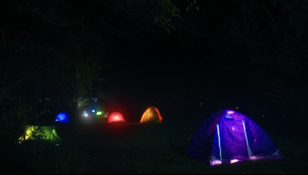 Where Fireflies Sparkle