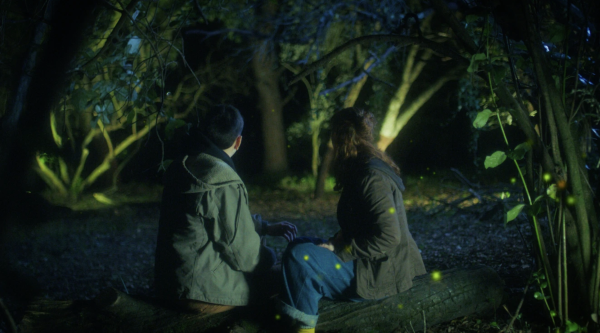 Where Fireflies Sparkle