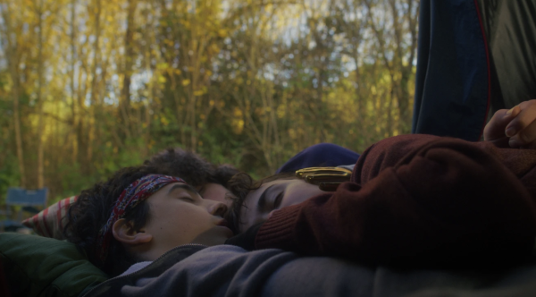 Where Fireflies Sparkle
