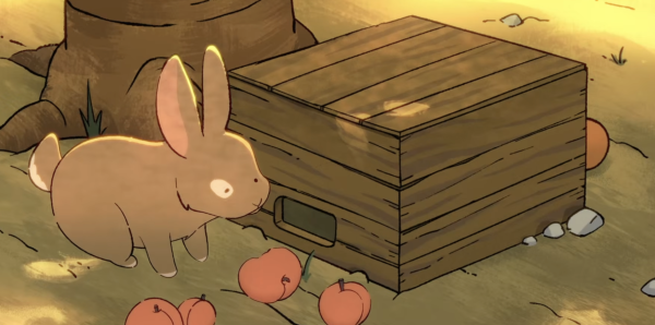 The Apricot