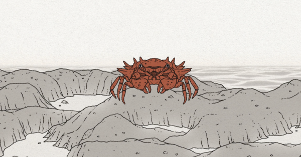 Crab Diane
