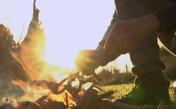 The Enigma of Fire