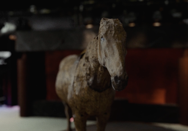 Someone to Steal Horses With