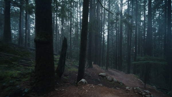Bas Van Steenbergen: Interlude
