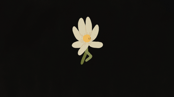 Spring.avi