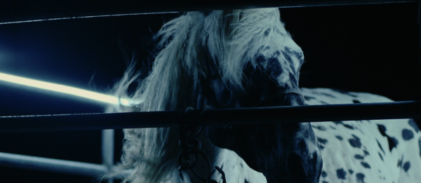 The Kalgan Horse