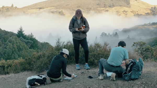 Fog Eaters