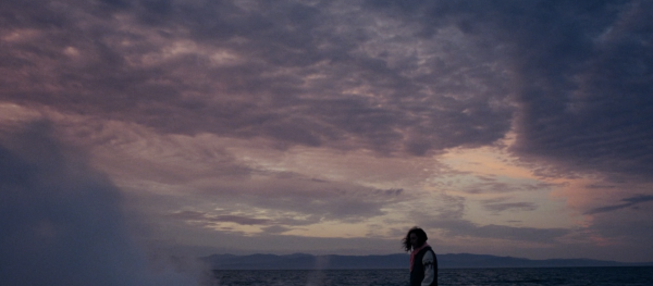 Dormance