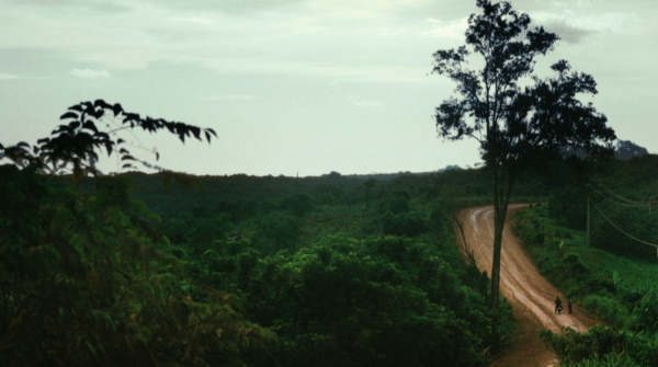 Homo Sive Natura