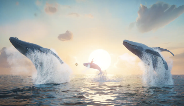The Last Whale Singer