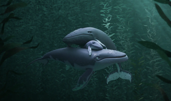 The Last Whale Singer