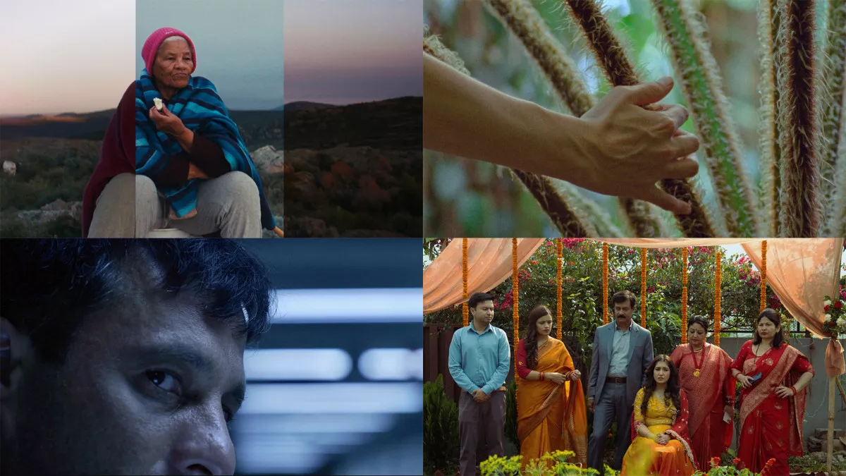 Concept stills, clockwise from top left: Variations on a Theme, Estados generales, My Share of the Sky, Wild Dogs Don’t Bite. Image: IFFR